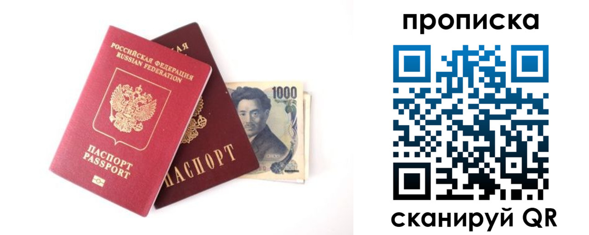 прописка в квартире в Вязьме